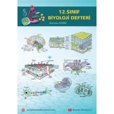 12.Sınıf Biyoloji (Sadece 12.sınıf Konuları) / Kargo Dahil 290 lira